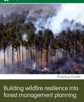 Building Wildfire Resilience into Forest Management Planning